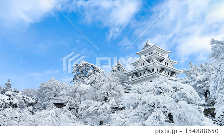 雪の郡上八幡城 134888650