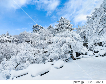 雪の郡上八幡城 雪の郡上八幡城 134888651