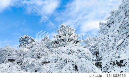 雪の郡上八幡城 134888656