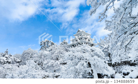 雪の郡上八幡城 134888659