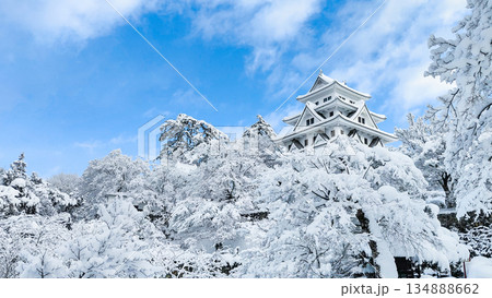 雪の郡上八幡城 雪の郡上八幡城 134888662