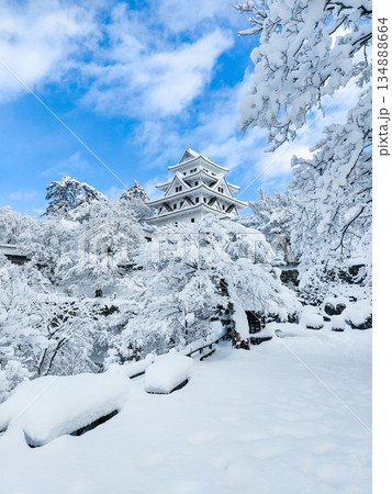 雪の郡上八幡城 雪の郡上八幡城 134888664