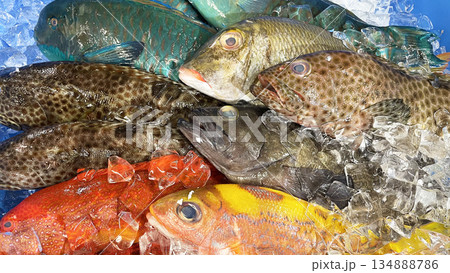 市場に並んだ新鮮でカラフルな沖縄の魚 134888786