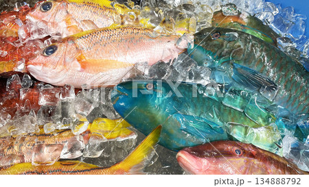市場に並んだ新鮮でカラフルな沖縄の魚 134888792