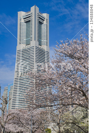 【横浜市】春の横浜みなとみらい21 134888848