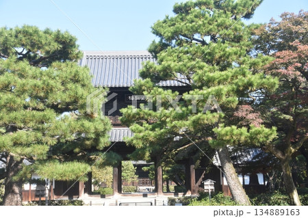 京都・建仁寺 京都・建仁寺 134889163