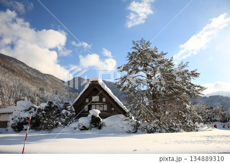 白川郷荻町合掌集落【岐阜県大野郡白川村】 白川郷荻町合掌集落【岐阜県大野郡白川村】 134889310