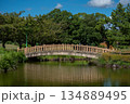 青空と木橋が映える静かな池の風景 134889495