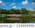 青空と木橋が映える緑豊かな池の風景 134889496