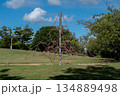 青空とロープクライミング遊具 134889498