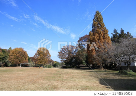 古河公方公園 古河総合公園の風景 古河公方公園 古河総合公園の風景 134889508