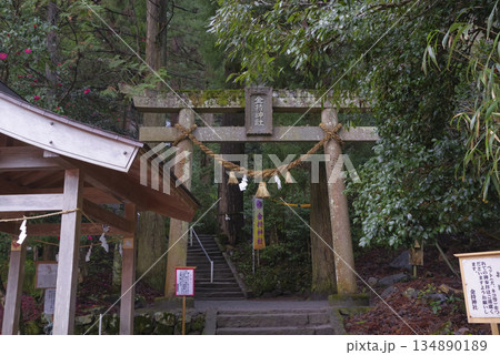 鳥取県にある金運で有名な金持神社 134890189