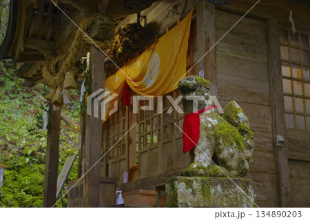 鳥取県にある金運で有名な金持神社 鳥取県にある金運で有名な金持神社 134890203