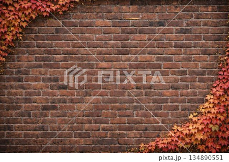 背景素材　煉瓦壁　レンガ壁と紅葉の蔦 134890551