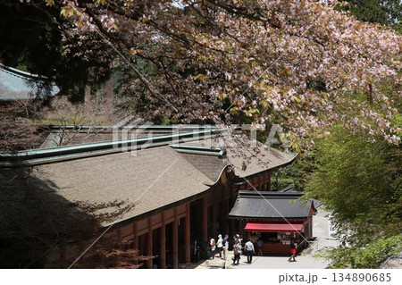 根本中堂・比叡山延暦寺【滋賀県大津市】 134890685