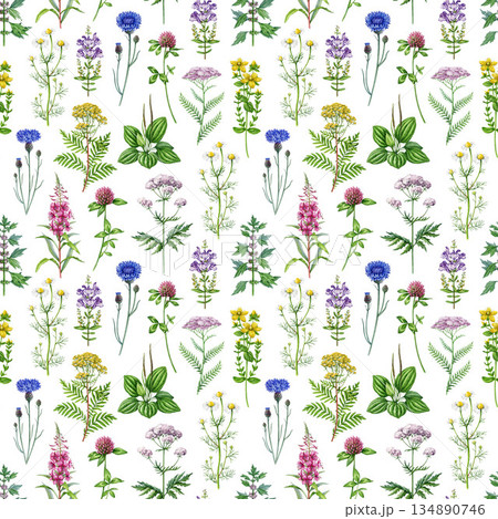 Medicinal wildflowers and herbs seamless pattern element. Hand drawn blooming chamomile, yarrow, tansy, plantain, cornflower, valerian wild healing plants watercolor illustration on white background Medicinal wildflowers and herbs seamless pattern element. Hand drawn blooming chamomile, yarrow, tansy, plantain, cornflower, valerian wild healing plants watercolor illustration on white background 134890746