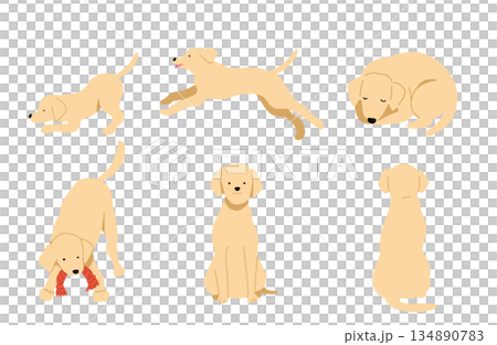 狗狗手繪插畫集 134890783