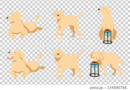 犬　手書きイラスト　セット 134890786