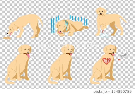 犬 手書きイラスト セット 犬 手書きイラスト セット 134890789