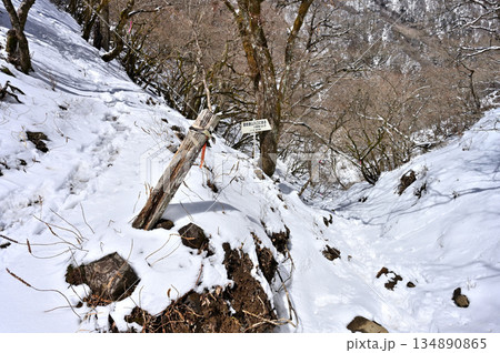愛鷹山塊　真冬の割石峠の峠道 134890865