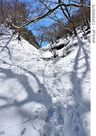 愛鷹山塊の越前岳　割石峠へ向かう雪景色の大沢ルート 134890870