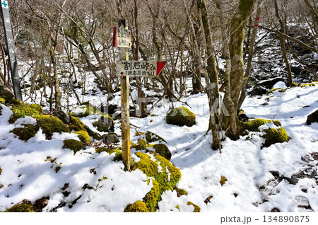 愛鷹山塊の越前岳 雪景色の大沢ルートの第一ケルン 愛鷹山塊の越前岳 雪景色の大沢ルートの第一ケルン 134890875