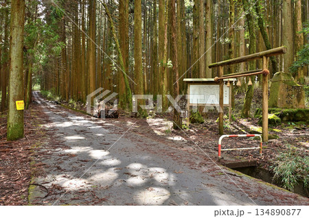 愛鷹山塊の越前岳　大沢入林道　山神社の鳥居をくぐる須山愛鷹登山口 134890877