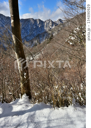 愛鷹山塊の越前岳 鋸岳展望台から雪景色の鋸岳、蓬莱岳(蓬莱山)、呼子岳 愛鷹山塊の越前岳 鋸岳展望台から雪景色の鋸岳、蓬莱岳(蓬莱山)、呼子岳 134890929