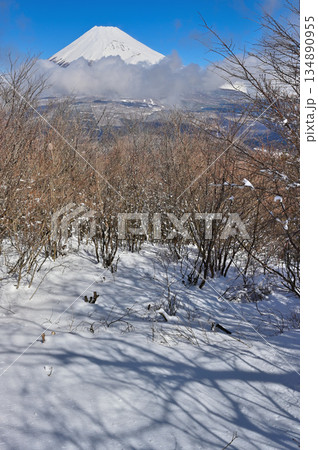 愛鷹山塊の越前岳 雪の富士見台より望む厳冬の富士山 愛鷹山塊の越前岳 雪の富士見台より望む厳冬の富士山 134890955
