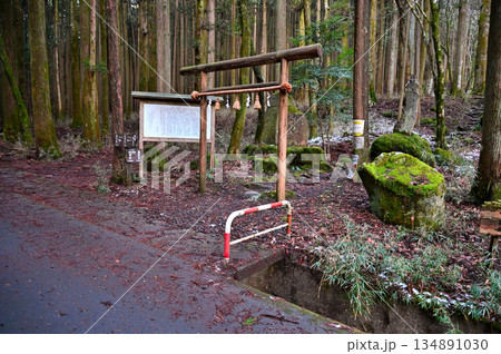 愛鷹山塊の越前岳 大沢入林道 山神社のある須山愛鷹登山口 愛鷹山塊の越前岳 大沢入林道 山神社のある須山愛鷹登山口 134891030