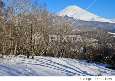 愛鷹山塊 積雪した黒岳山頂より望む富士山 愛鷹山塊 積雪した黒岳山頂より望む富士山 134891069