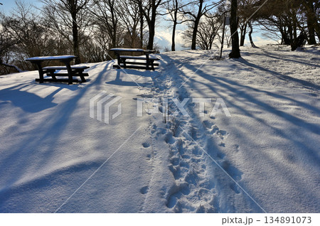 愛鷹山塊の黒岳　雪化粧の山頂にのびる朝日 134891073
