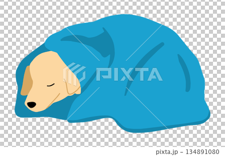 手繪狗狗插圖，裹在毯子裡 134891080