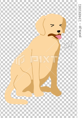 狗手繪插圖咳嗽 狗手繪插圖咳嗽 134891081
