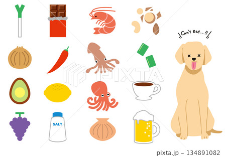 犬 手書きイラスト 危険な食べ物 犬 手書きイラスト 危険な食べ物 134891082