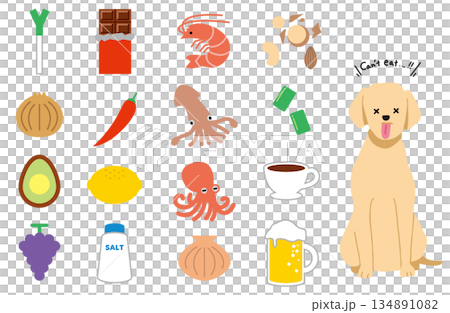 犬 手書きイラスト 危険な食べ物 犬 手書きイラスト 危険な食べ物 134891082