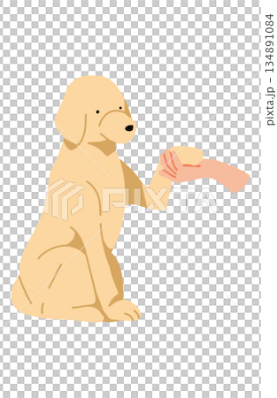 狗狗手繪插圖爪子 狗狗手繪插圖爪子 134891084