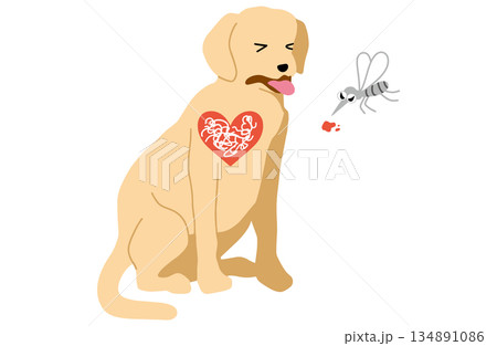 犬 手書きイラスト フィラリア症 犬 手書きイラスト フィラリア症 134891086