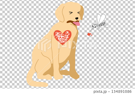 犬 手書きイラスト フィラリア症 犬 手書きイラスト フィラリア症 134891086