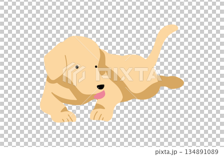 Dog hand-drawn illustration licking 134891089