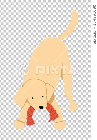 手繪狗狗插圖 手繪狗狗插圖 134891090
