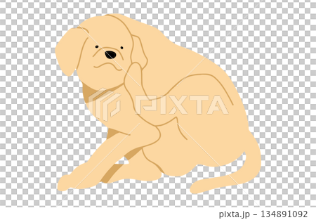 Dog hand-drawn illustration scratching 134891092