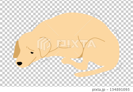 犬 手書きイラスト 震える 犬 手書きイラスト 震える 134891093