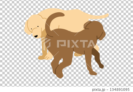 Dog hand-drawn illustration greeting 134891095