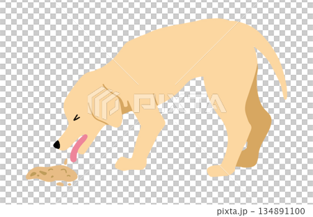 犬 手書きイラスト 嘔吐 犬 手書きイラスト 嘔吐 134891100