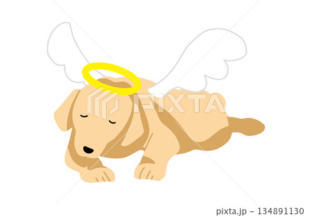 犬　手書きイラスト　天使 134891130