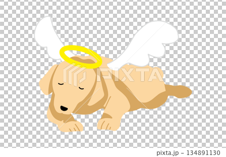 手繪天使狗插畫 134891130