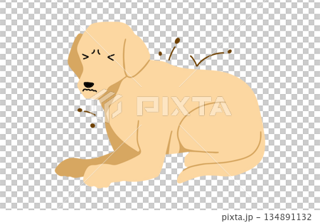 手繪跳蚤狗插圖 134891132