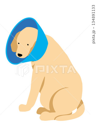 犬　手書きイラスト　エリザベス 134891133