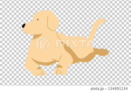 犬　手書きイラスト　伏せ 134891134